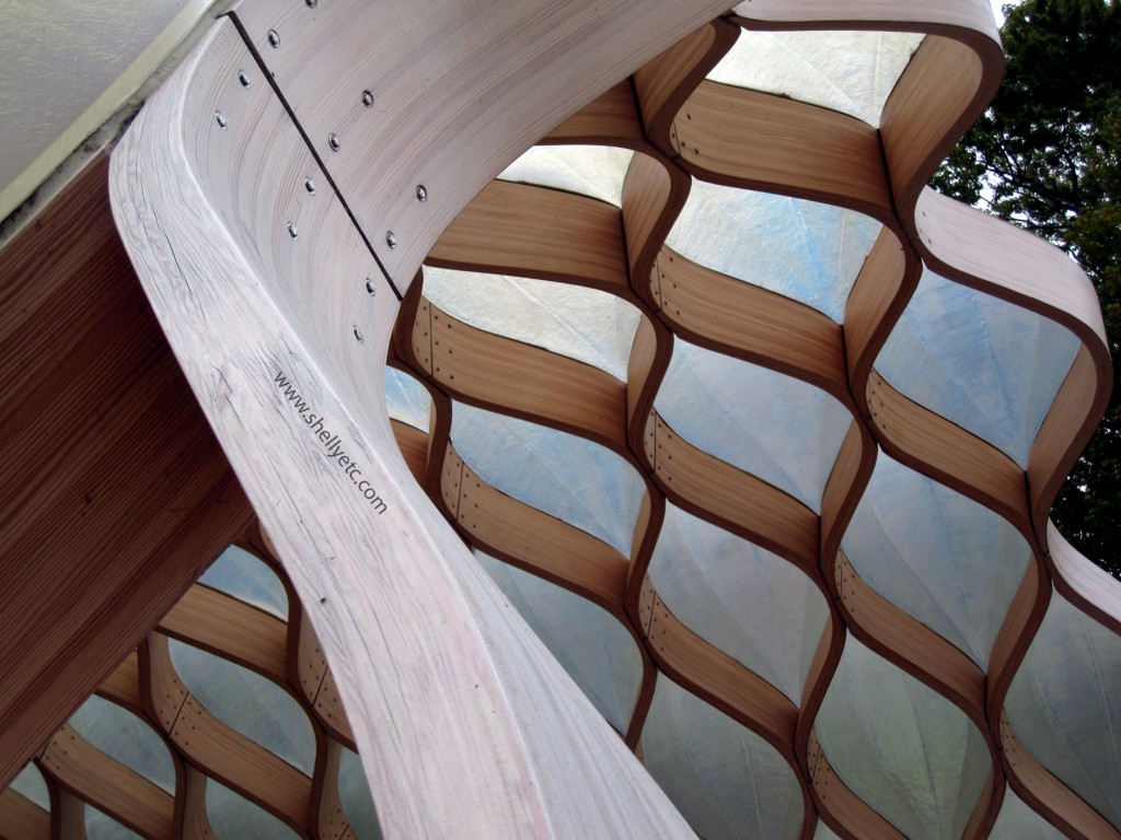 New - Bent Honey Wood (Chicago)