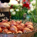 Bowl o Shallots (Seattle)