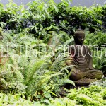 Buddha (Vancouver BC)