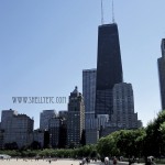 Chicago Boardwalk New - Chicago Boardwalk (Chicago)