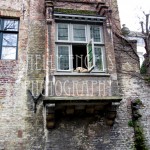 Doggy in the Window Doggy in the Window (Belgium)