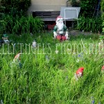 Gnome Garden (Germany)