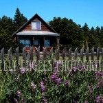 Home Sweet Cabin-watercolor Home Sweet Cabin (Roslyn)