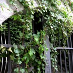Leafy Gate (Chicago)