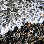 Pebbles (Seattle)