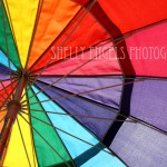 Rainbow Umbrella Rainbow Umbrella (Los Angeles)