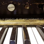 Roslyn's Melody Roslyn's Melody (Roslyn)
