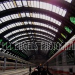 Skylights Skylights (Italy)