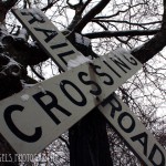 Snowy RR Xing Snowy RR Xing (Seattle)