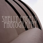 Spirals Spirals (New York)