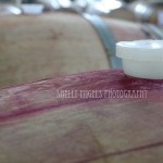 Stained Barrel #1 Stained Barrel #1 (Walla Walla)
