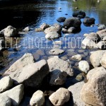 Stepping Stones (Seattle)
