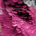 Stone Petals Stone Petals (Seattle)