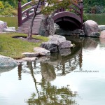autumn reflection (Chicago)