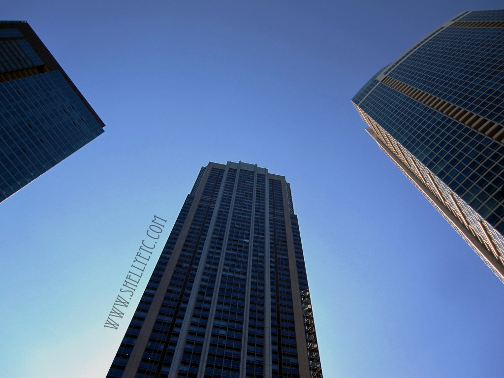 New - city heights (Chicago)