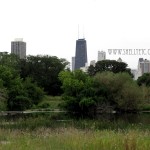 city pond New - city pond (Chicago)
