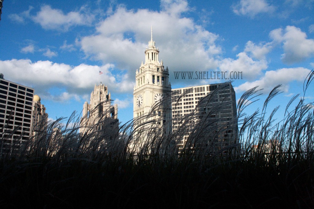 New - clock stalks (Chicago)