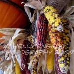Corn Husks (Dallas)