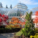 fall conservatory Fall Conservatory (New York)