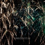 green sparks New - green sparks (Chicago)
