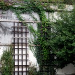 highway trellis New - highway trellis (Chicago)