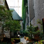 inner garden New - inner garden (Chicago)
