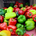 pepper melody (Chicago)