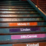 pink line New - pink line (Chicago)