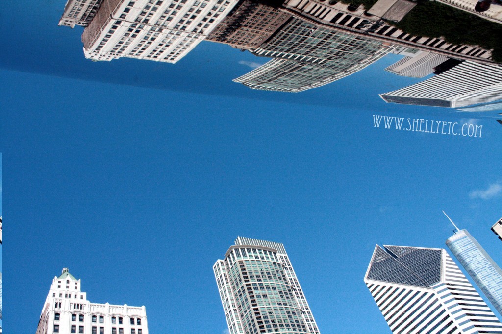 New - reflections of a bean (Chicago)