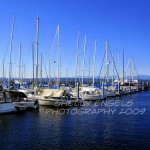 Sails in Water (Seattle)
