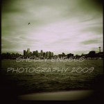 Seattle Skyline (Seattle)