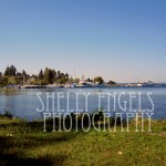 Seward Park (Seattle)