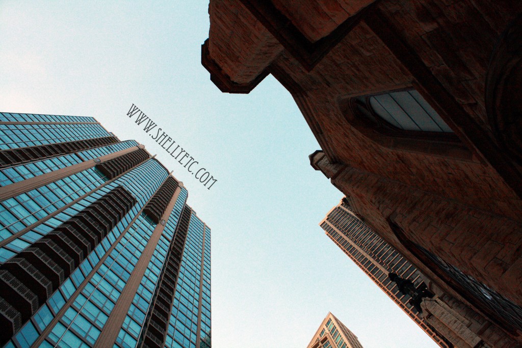 New - skyward (Chicago)