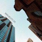 skyward New - skyward (Chicago)