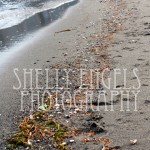 Water Trail (Seattle)