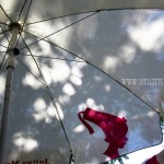 white umbrella New - white umbrella (Chicago)