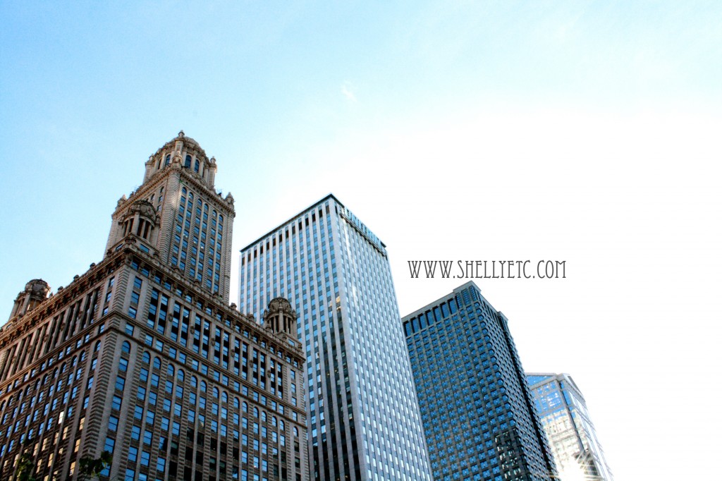 New - windows (Chicago)