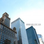 windows New - windows (Chicago)