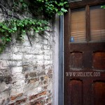 wood door New - wood door (Chicago)