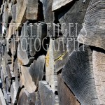 woodpile woodpile (Roslyn)