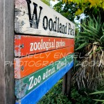 zoo Zoo (Seattle)