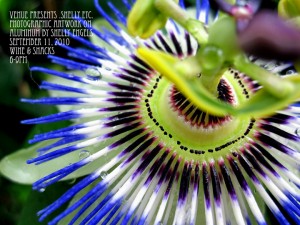 Sept Artwalk - Digital Postcard copy
