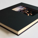 IMG_5452 IMG_5452
